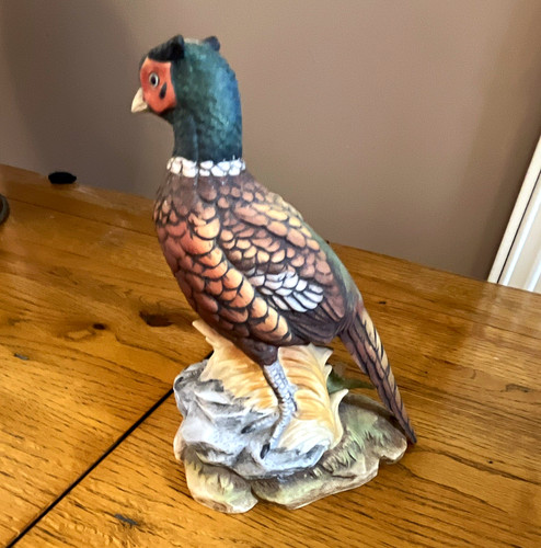 Kowa pheasant bird - pheasant,