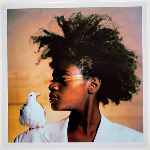 Lyle ashton harris signed - lyle,
