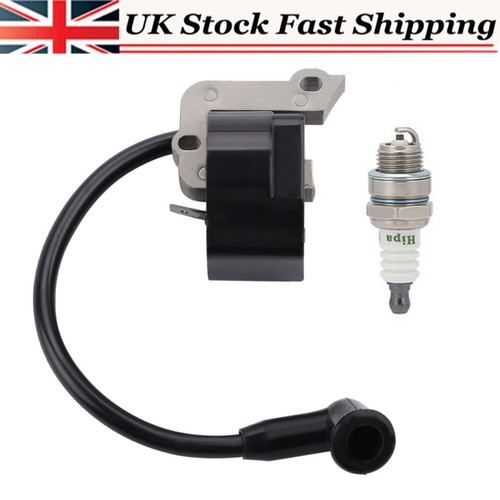 Ignition coil for - ignition,