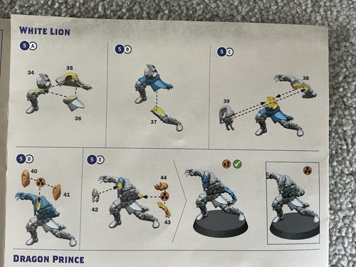 Blood bowl the caledor - blood,