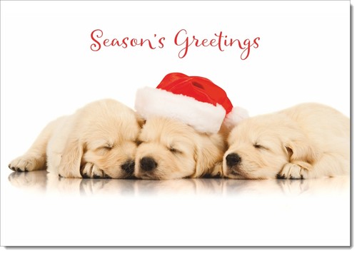 Doodlecards seasons greetings - doodlecards,