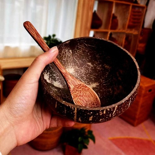 Reusable coconut bowls wooden - coconut,