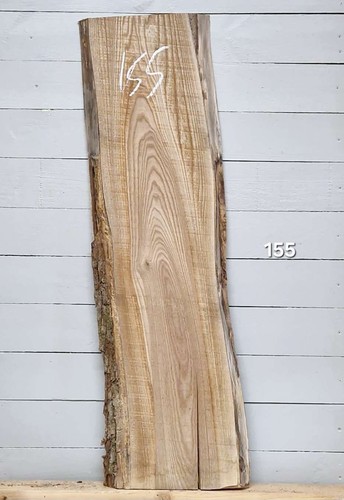 Elm live edge timber 1230mm - live,