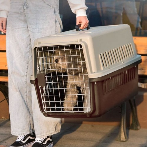 Extra large pet - extra,
