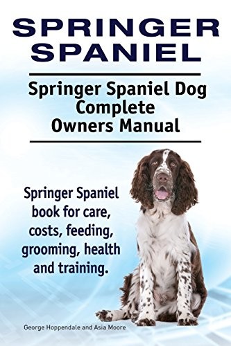 Springer spaniel - springer, spaniel.
