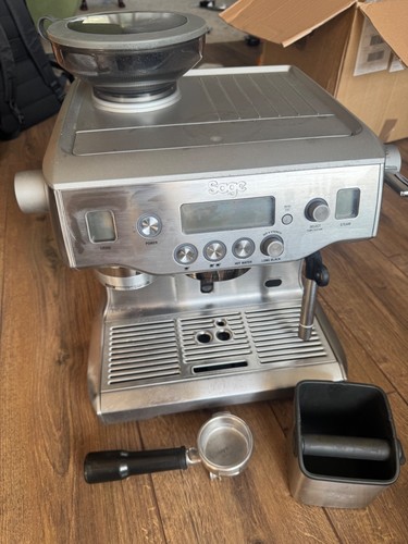 Sage the oracle bean cup - the,