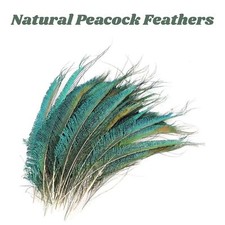 10x Natural Peacock Feathers