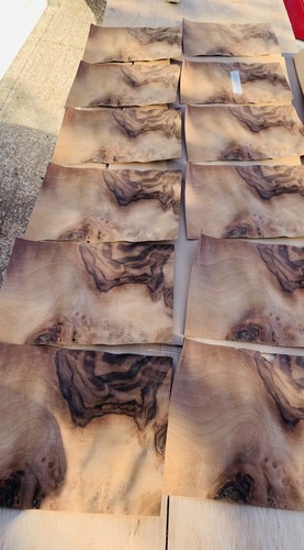 Walnut veneer x12 consecutive - walnut,