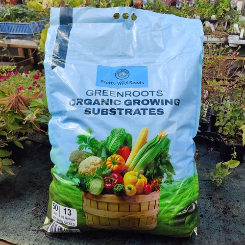 Organic coir growing - growing, substrate