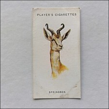 John Player Wild Animals'