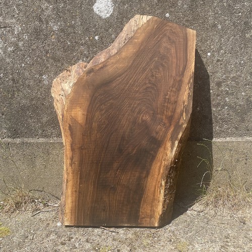 English walnut live edge slab - english,