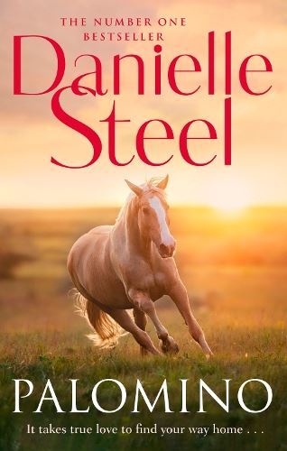 Steel palomino - steel:,