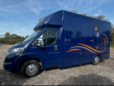 citroen relay 2016 horsebox
