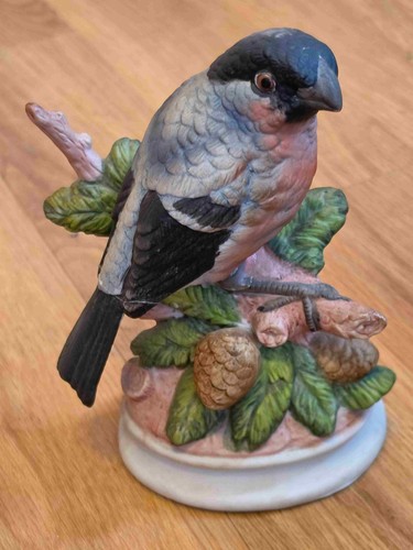Fine porceline bullfinch bird - fine,