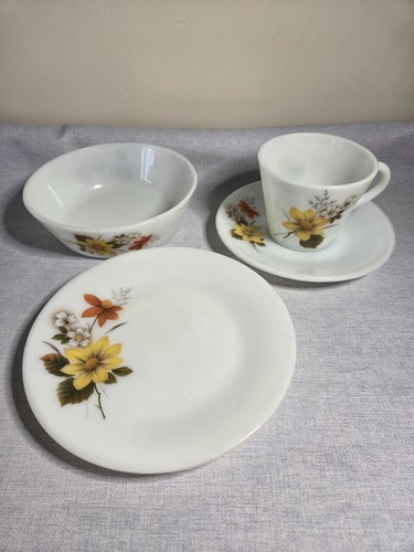 Vintage jaj pyrex autumn - pyrex, 'autumn