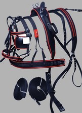 NYLON WEBBING DRIVING HARNESS