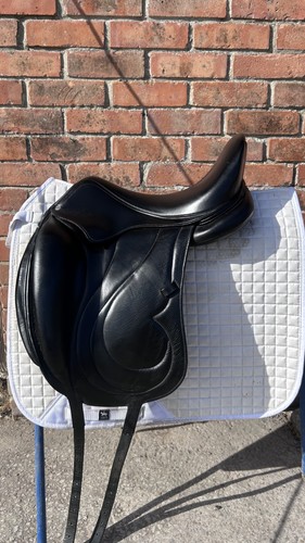 Antares cadence dressage - antares,