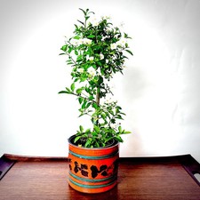 Planter 1970s Planter Fat Lava