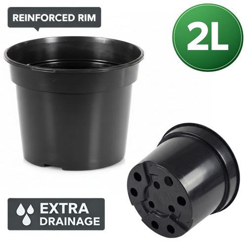 Plastic plant pot black - plastic,
