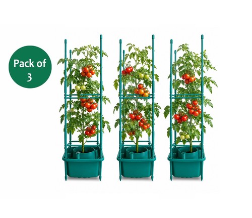 Garden tomato halos planter - garden,