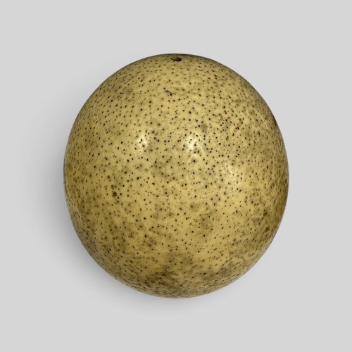 Vintage authentic ostrich egg - authentic,
