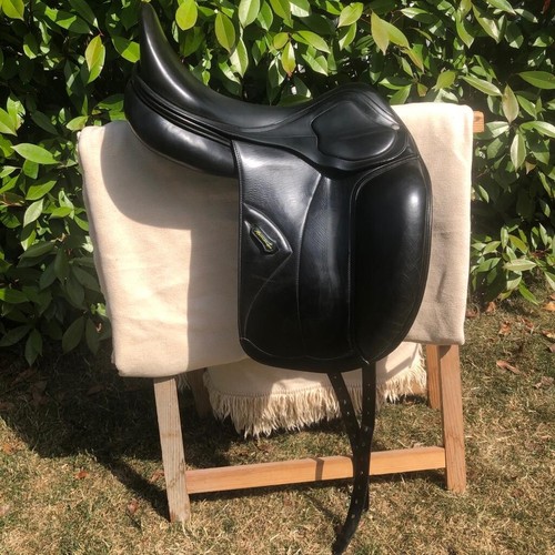 Amerigo pinerolo luxury - 18",