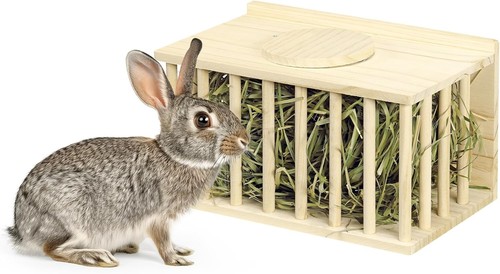 Rabbit hay feeder standing - rabbit,
