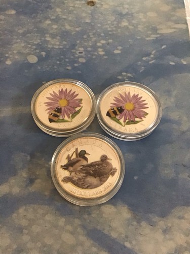 Canadian enamelled proof - enamelled,