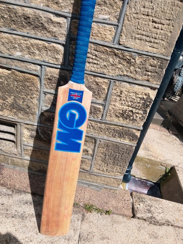 English willow cricket bat - english,