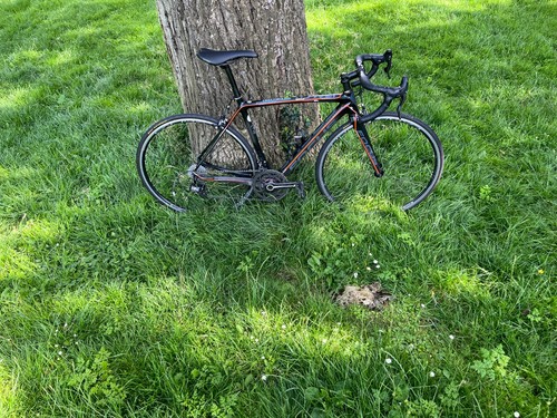 Focus izalco max brand - izalco,