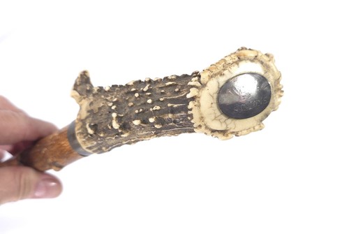 Antique stag antler walking - antique,