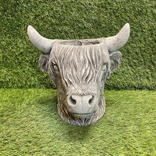 Concrete Highland Cow Head