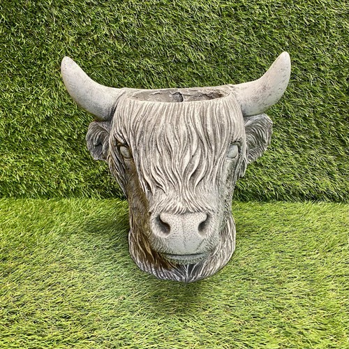 Concrete highland cow - concrete,