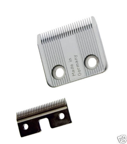 Moser rex hair - rex, clippers