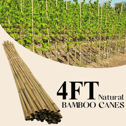 4ft bamboo canes heavy duty - 4ft,
