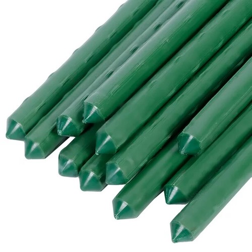 Green garden plant - green,