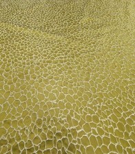 Ashley Wilde Kingley Gold