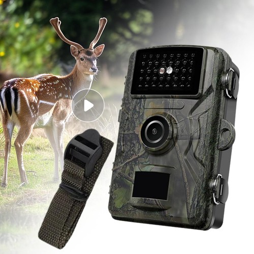 Outdoor wildlife trail - trail, camera