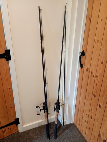 Carp fishing rods and reels - carp,