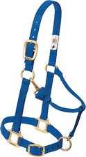 Weaver Equine Miniature Horse Adjustable Halter | 5/8” Nylon with Throat Snap