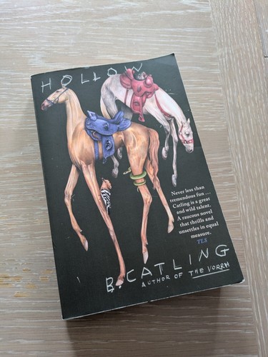Brian catling hollow - , book