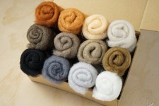Carded Maori Wool Set 12 Animal colours 180g needle and wet felting DHG Wool