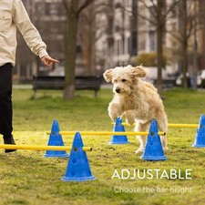 Pet Agility Training Hurdle