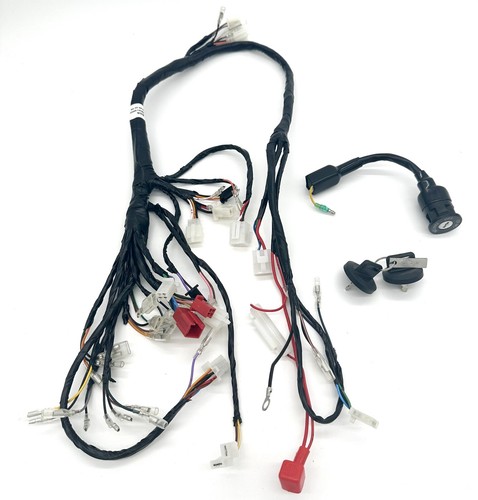 Apache quad 100cc - quad, wiring