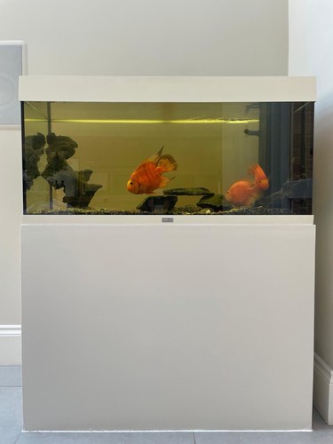Juwel rio 180 fish tank - 180,