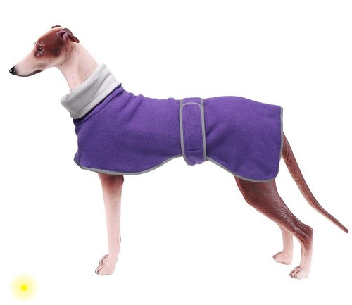 Coat geyecete greyhound - greyhound,