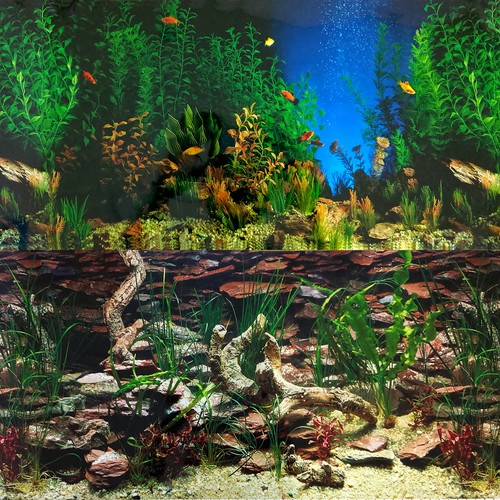 Aquarium background - aquarium,