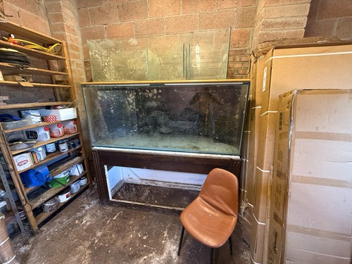 Large reef aquarium fish tank - large,