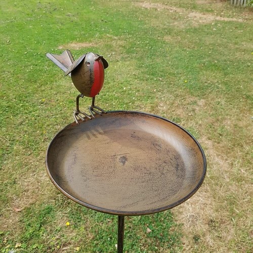 Robin bird bath - bird, on