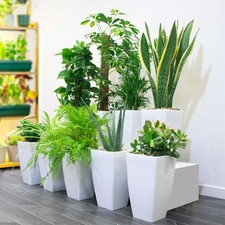 House Indoor Plant Gloss White Tall Milano Pot Garden Office Oxygen Air Filter